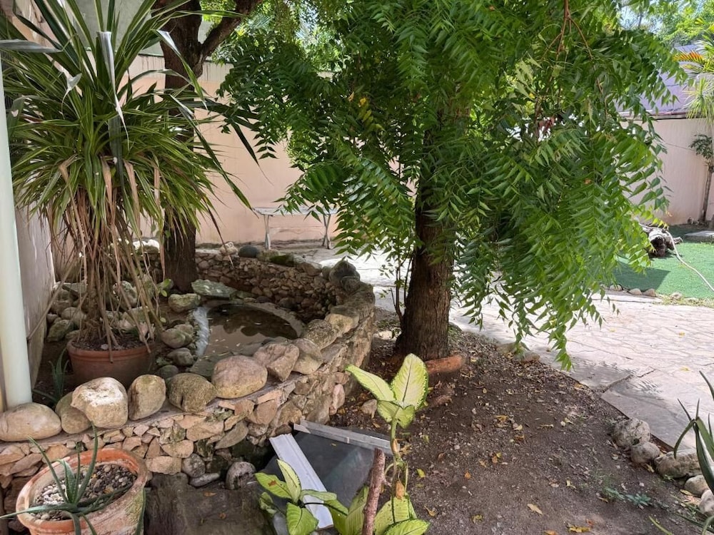 Cozy Studio Apartment 2 min to the Beach, Rooftop