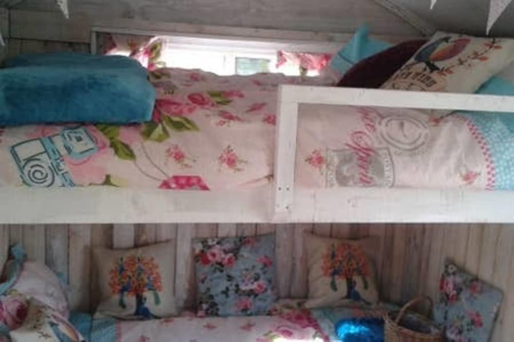 Ruby Shepherds hut Sleeps 4 view 3