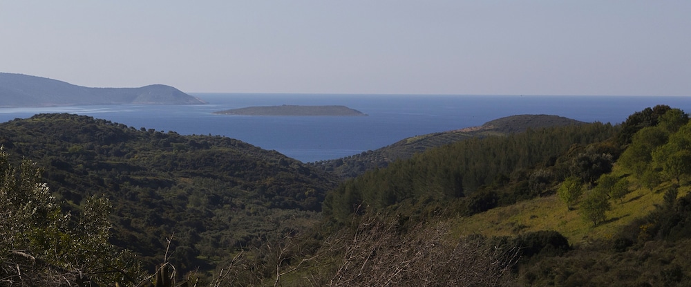 Afentiko Pigadi