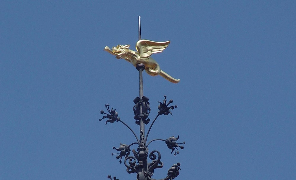 Guesthouse Maison le Dragon