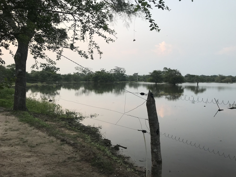 Elephant Lake Yala