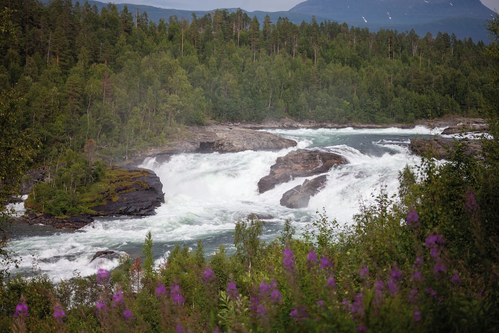 Målselvfossen Feriesenter