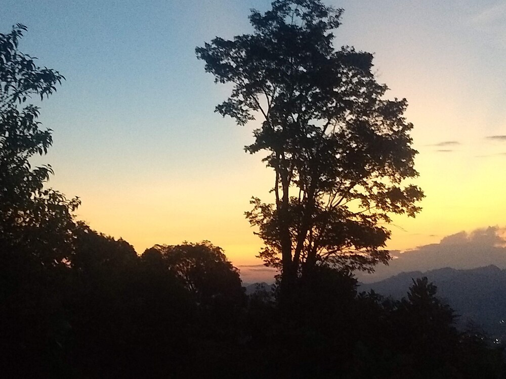 Bhakti Coffee Farm