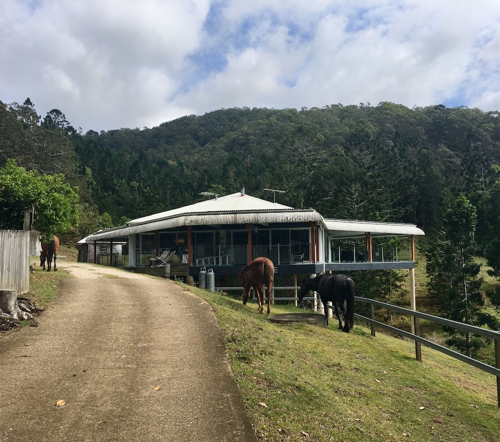 Ingleside Stud Farm