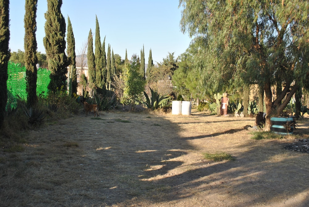Photo 23