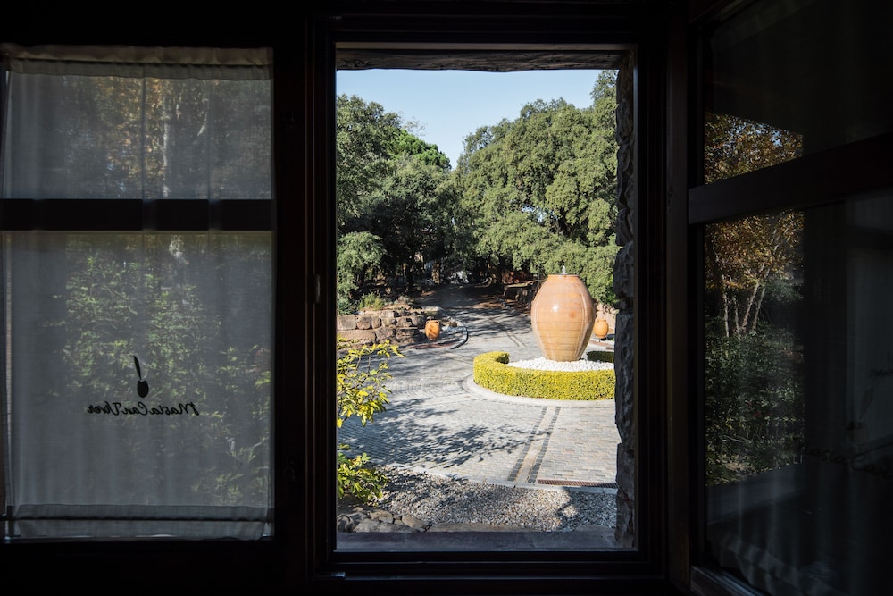 Masia Can Viver - Olive oil tourism B&B view 5