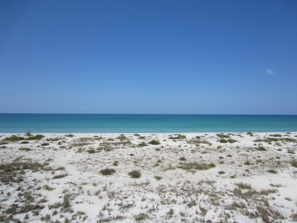 Palm Island 3 Bedroom Deluxe Villa by RedAwning view 4