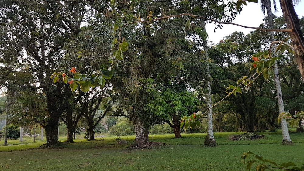 Fazenda São Fernando