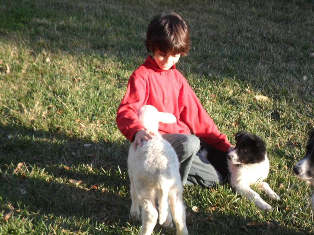 Photo 38