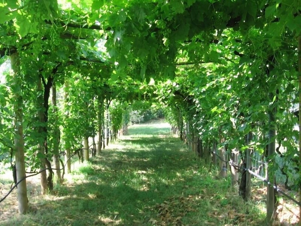 Agriturismo Podere Ficareto