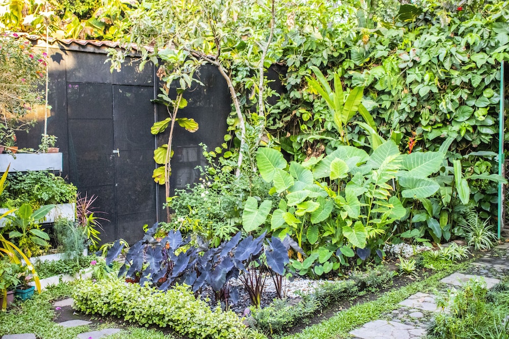 Árbol de Fuego Eco-hotel, a green experience in the city