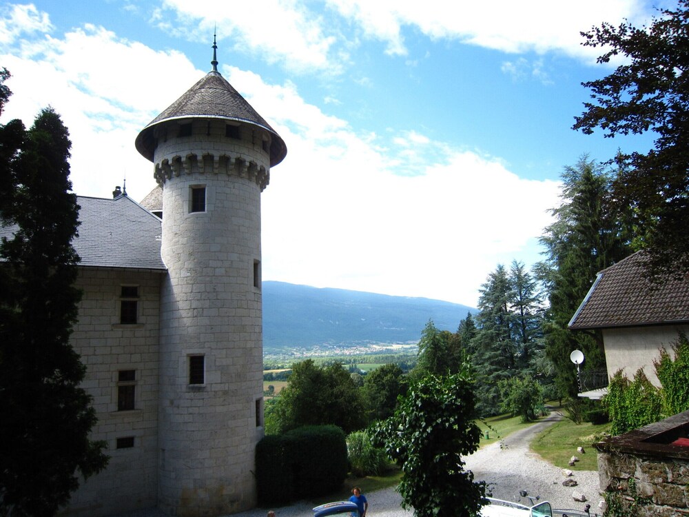 Photo 46
