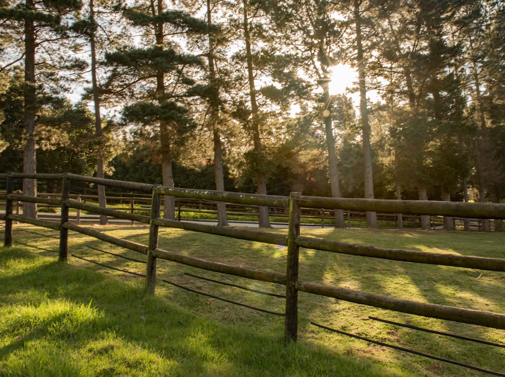 High Season Farm