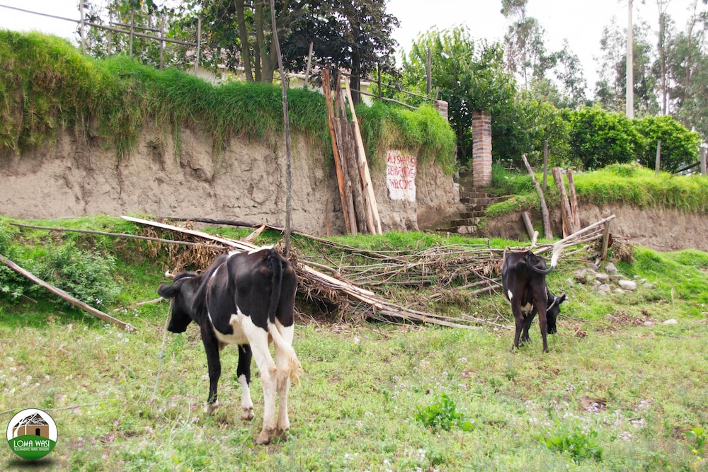 Loma Wasi Village