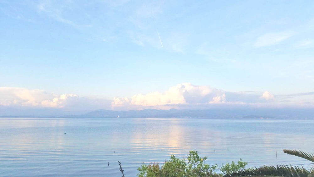 Seafront Apartments photo 4