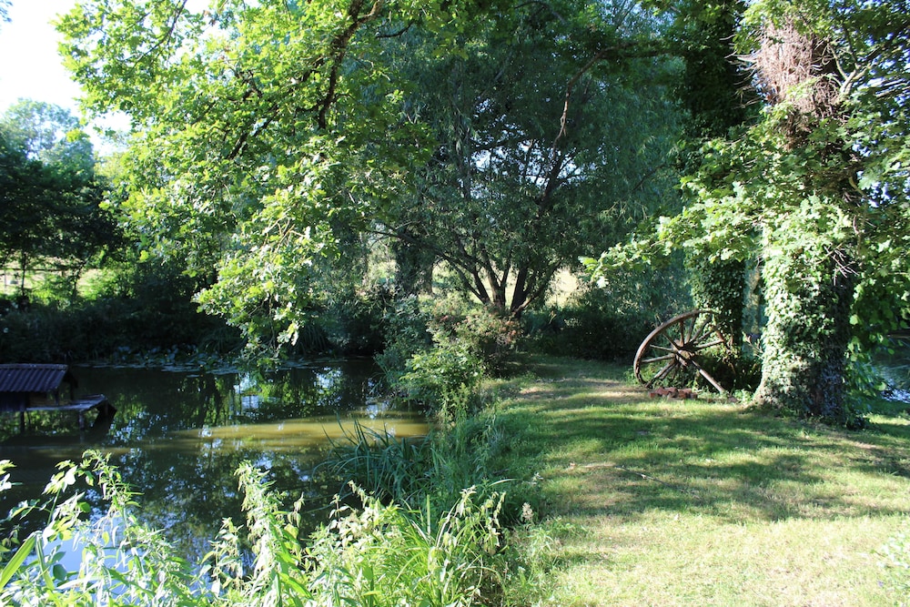Photo 6