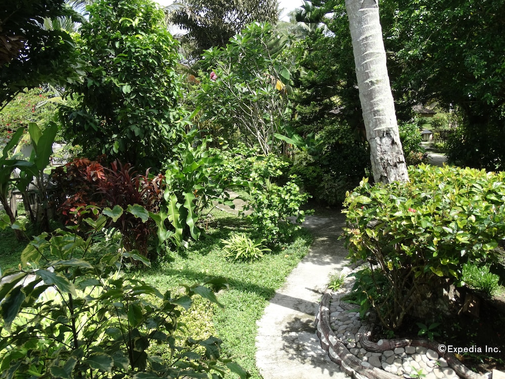 Photo 46