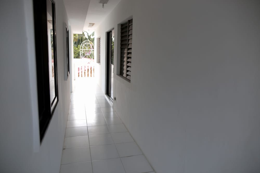 Luzmin BH - White House