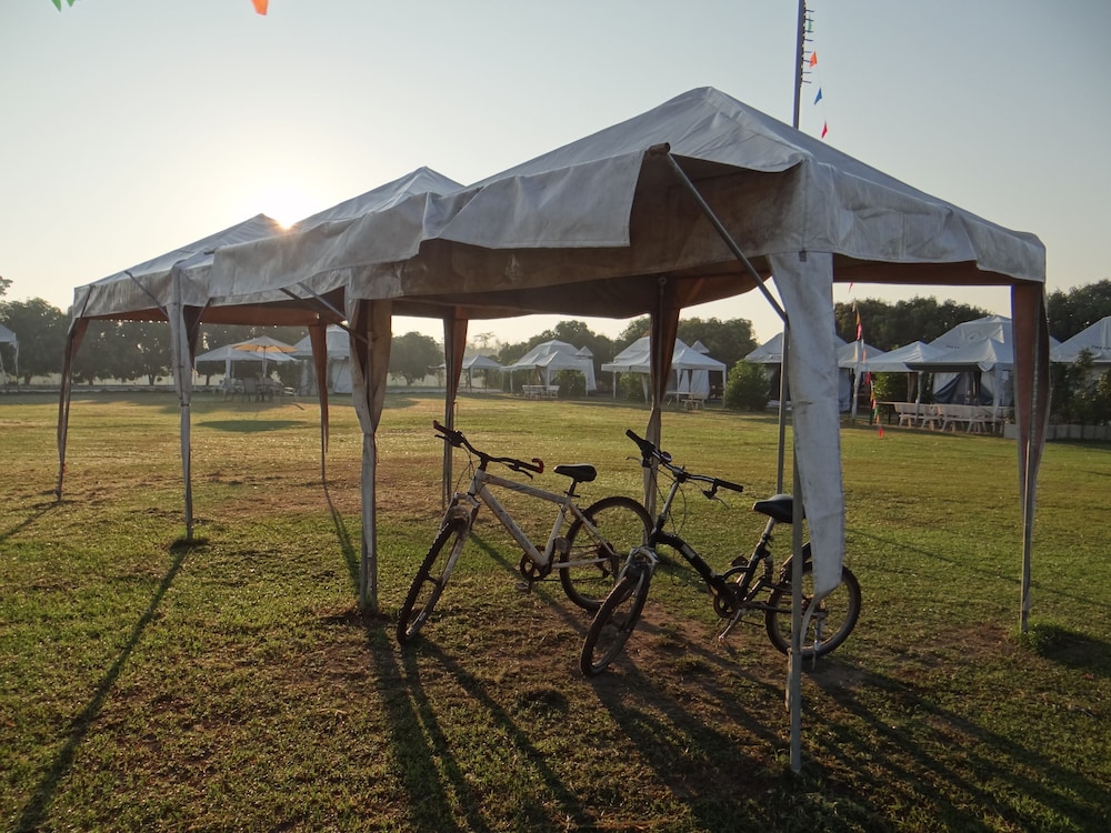 The Camping Field