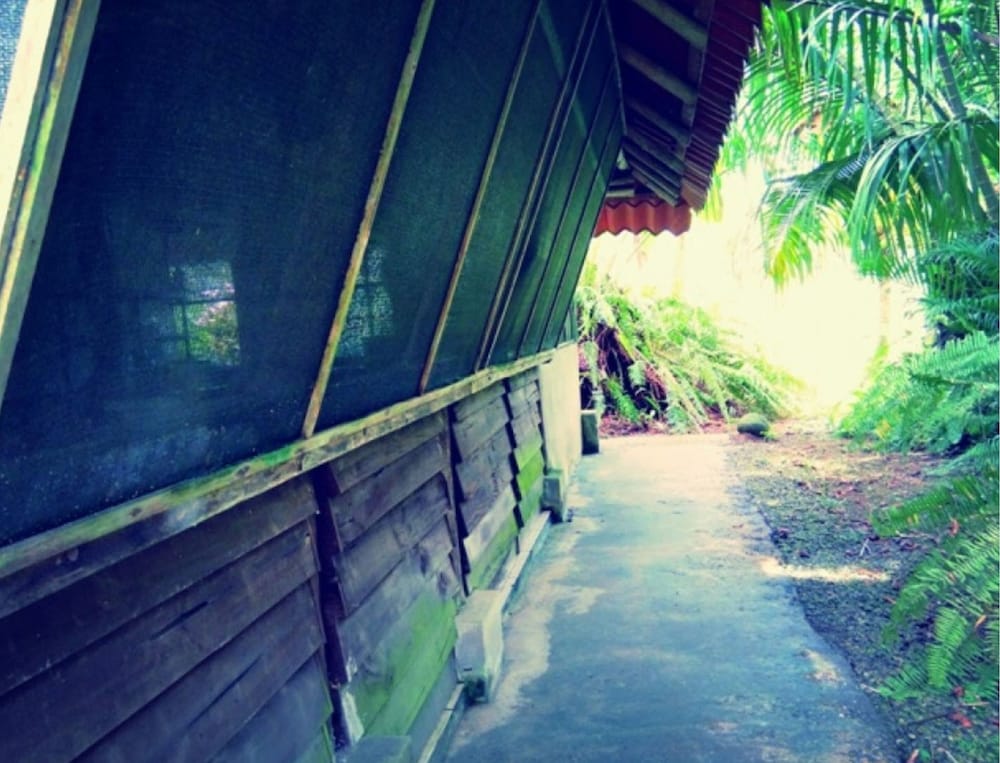 Photo 50