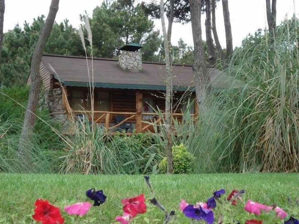 Cabañas Mapuche