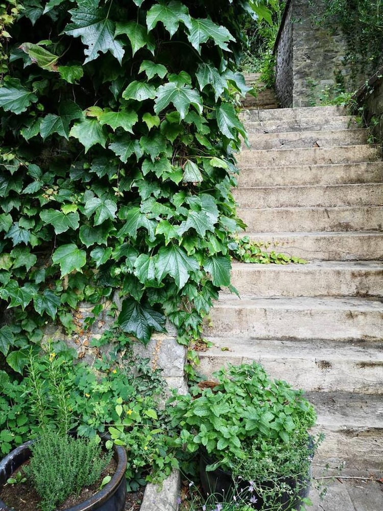 Photo 42