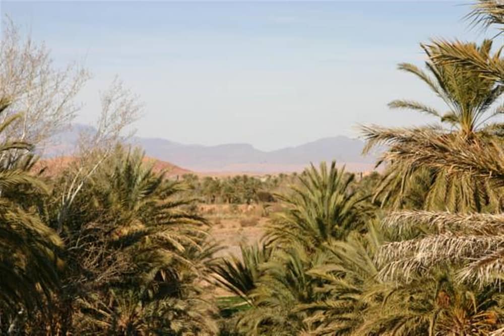 Riad Sarayas
