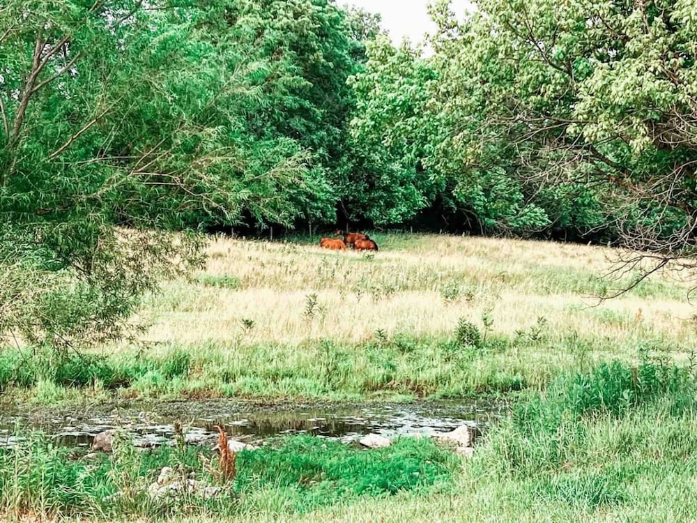 Farm Stay Hot tub Pond Nature Views Near Dwntwn