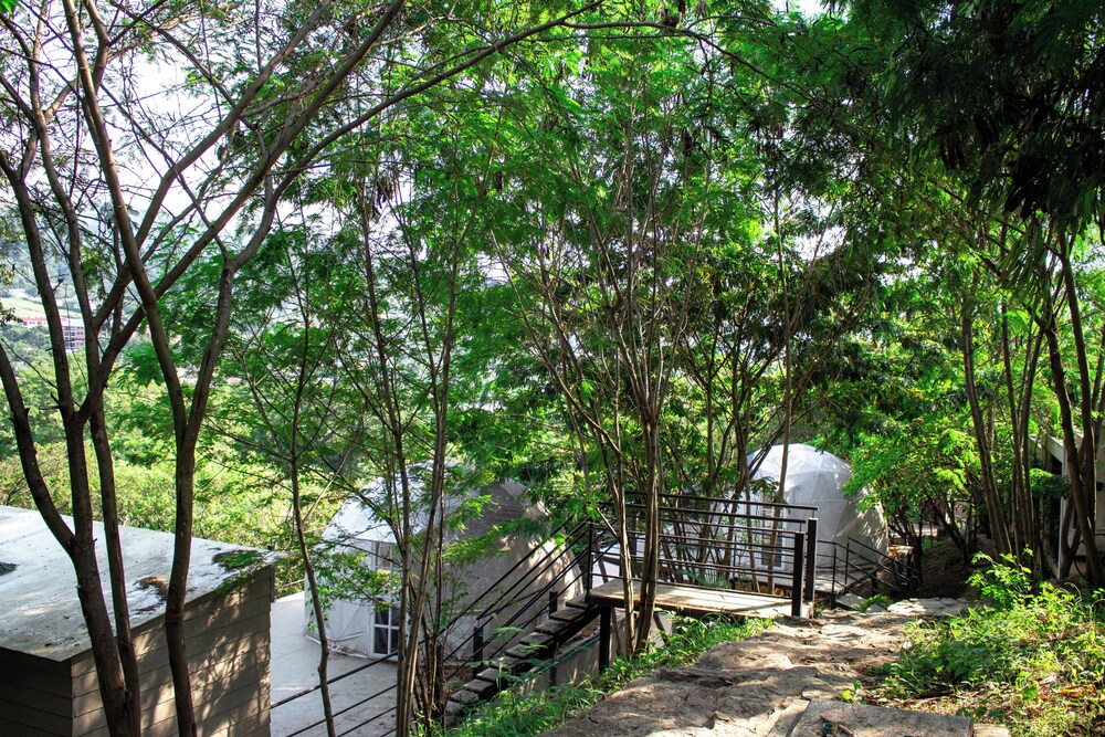 Glamping romantico en Vista Hermosa