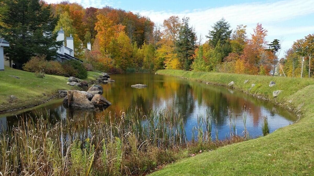Woods Village 10
