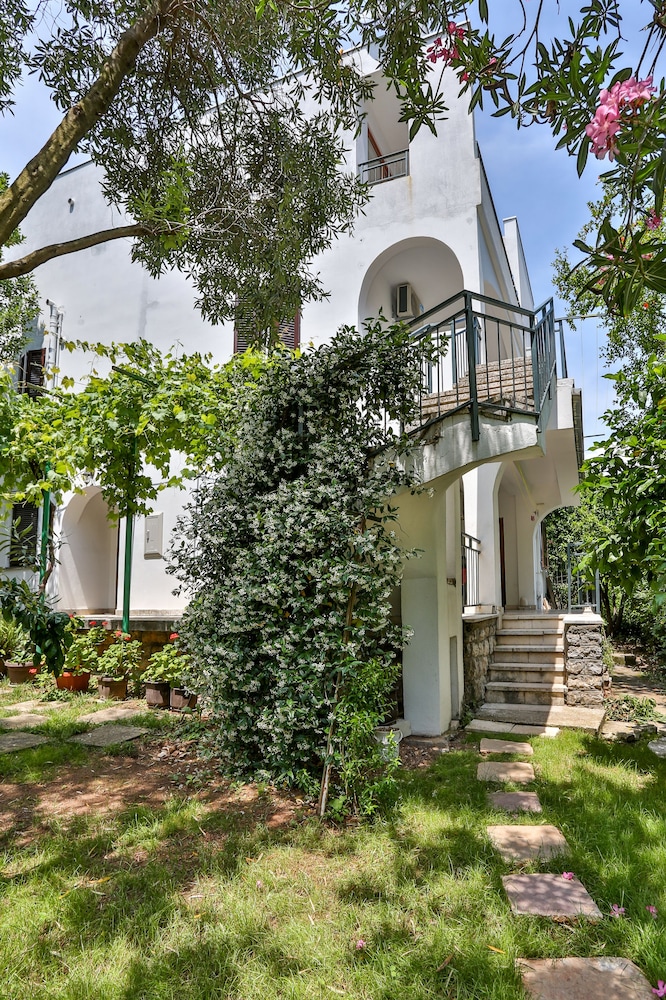 Gospostina In Apartments