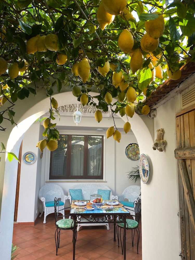 Room-the Archi B&B Apartment photo 4