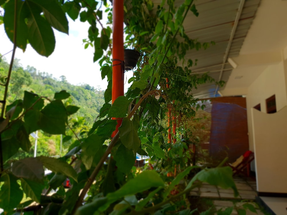 Ella River House