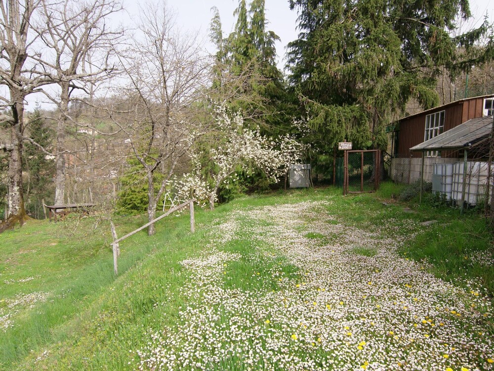 Photo 29