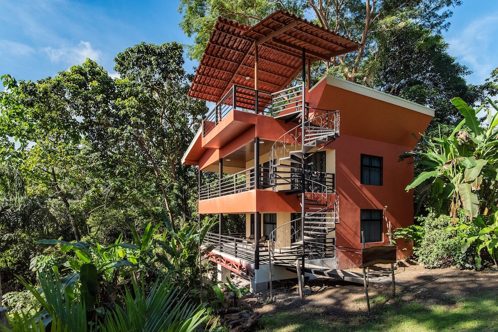 Hotel Jungle Lodge at Wild Sun Rescue - Image 1