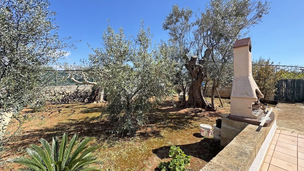 Villa Ulivo Sleeps 7 Garden Close to the sea