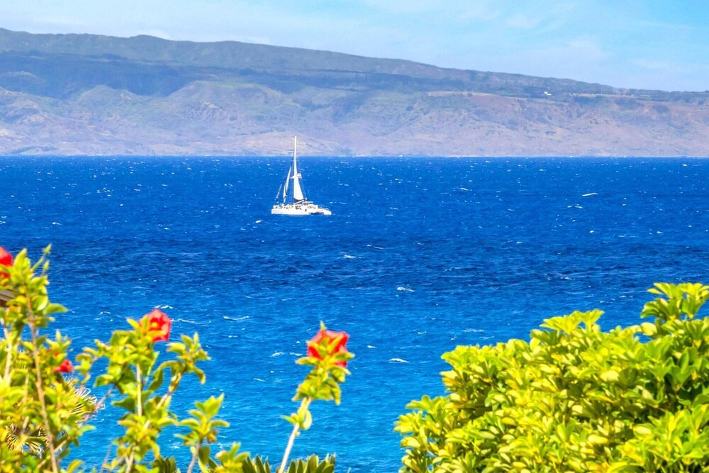 NEW KBM Resorts Free CAR Kapalua Bay Villas Ocean View 1-bedroom Condo Steps to Beach With Spacious Lanai! Kbv-24g3