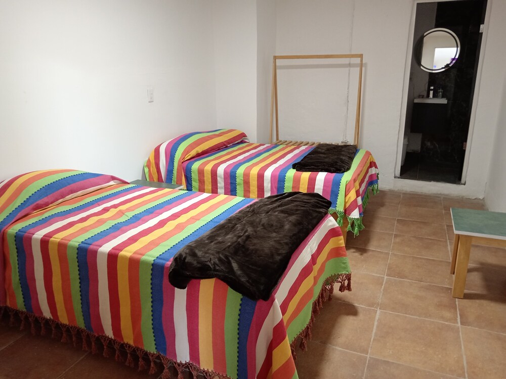 Iguana Co-living