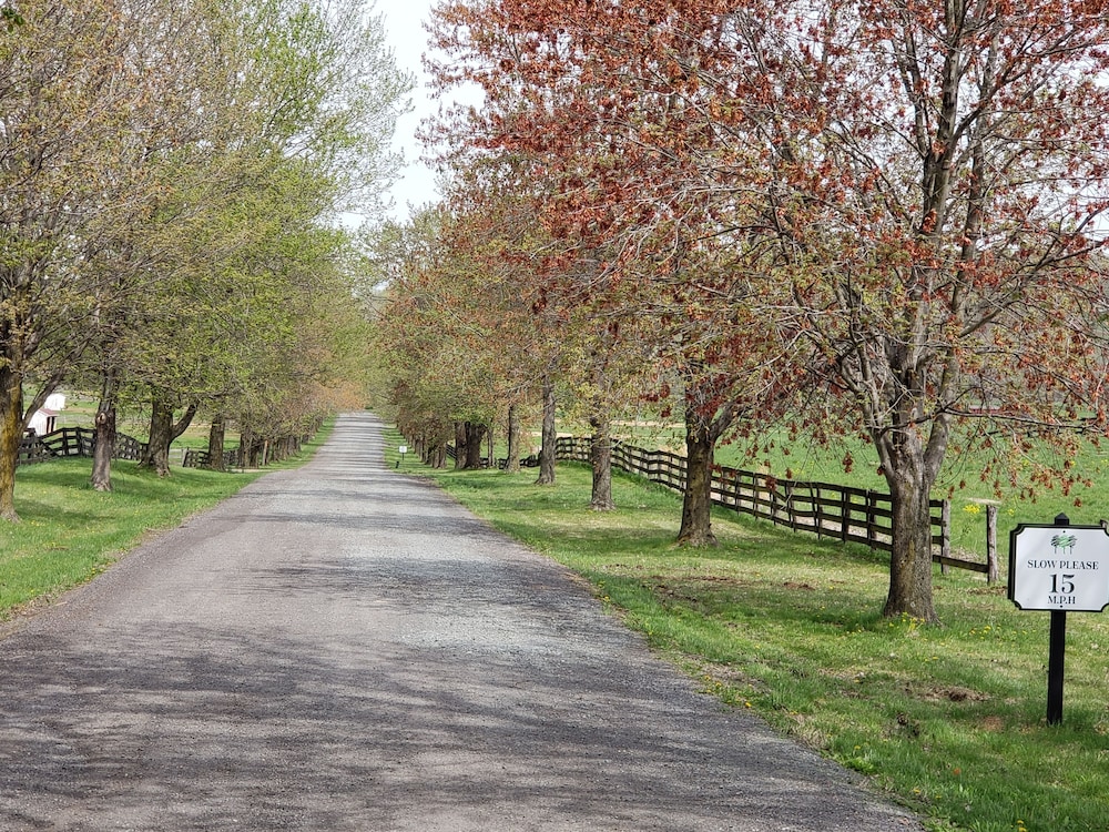 Leesburg Vacations - The Manor at Courtland Farm - Property Image 81