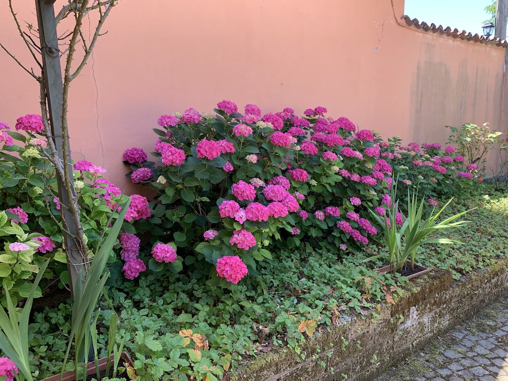 La Casa Celeste