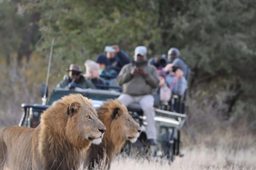 Simbavati Hilltop Lodge