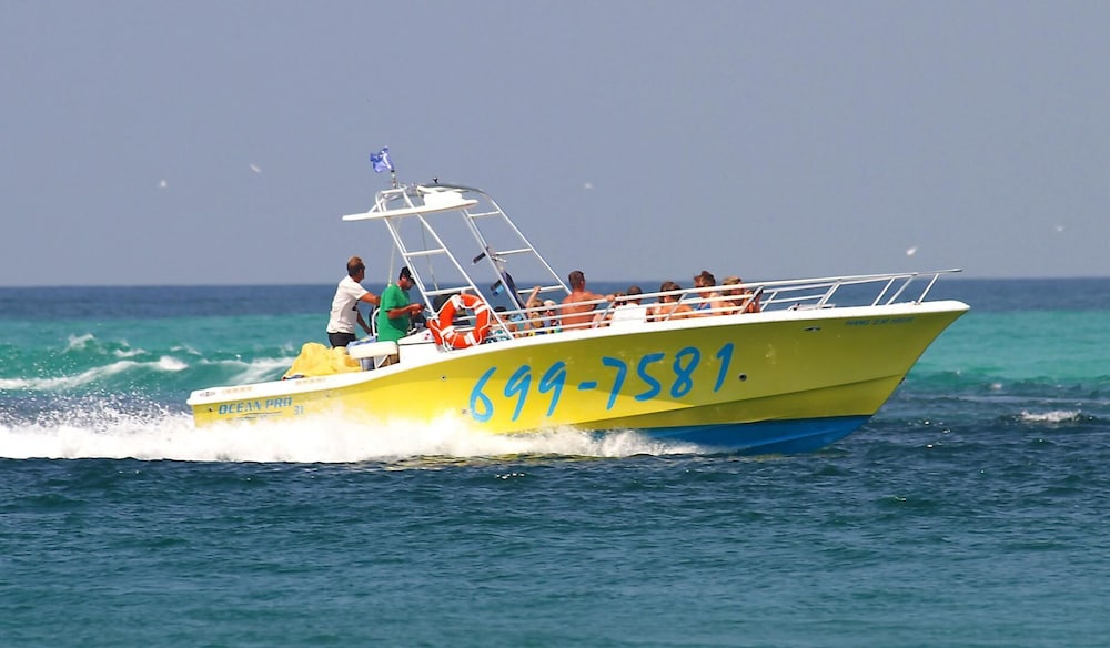 Photo 41