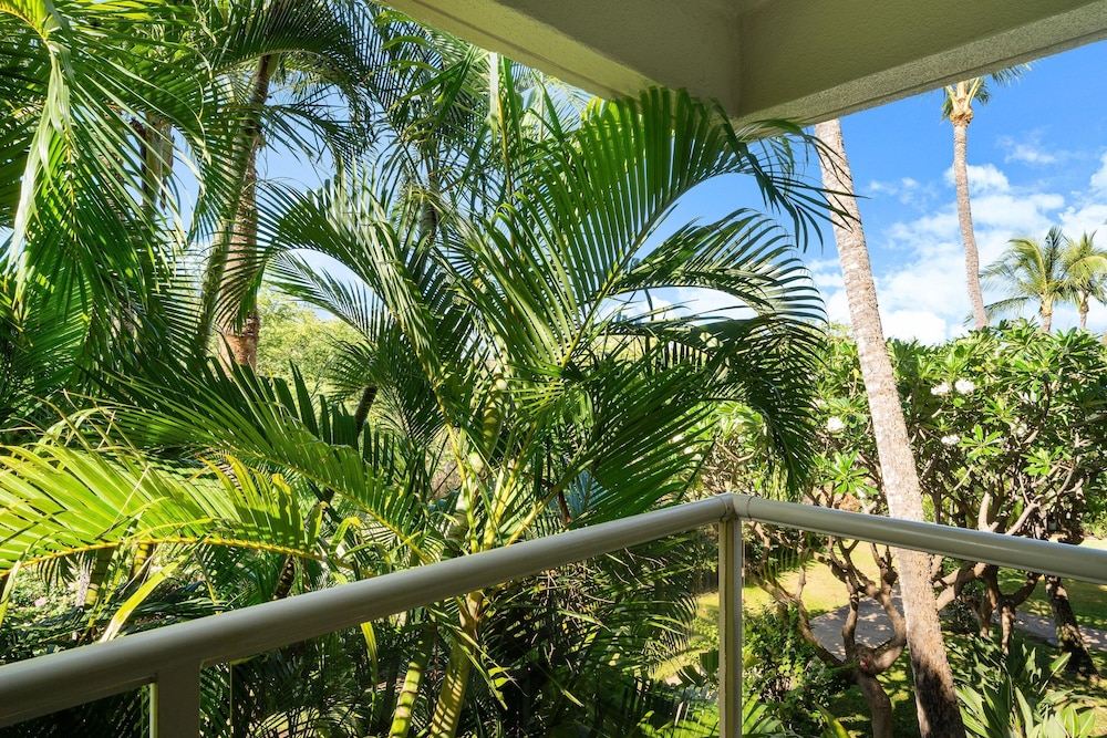 Maui Banyan H207 in Kihei