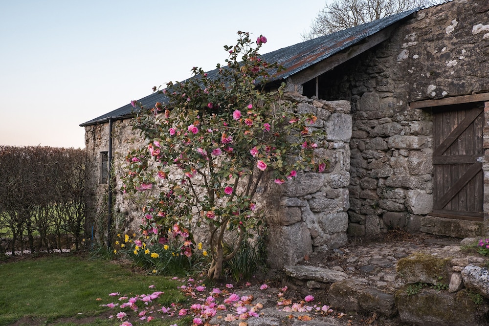 Butterwell Cottage at Collihole