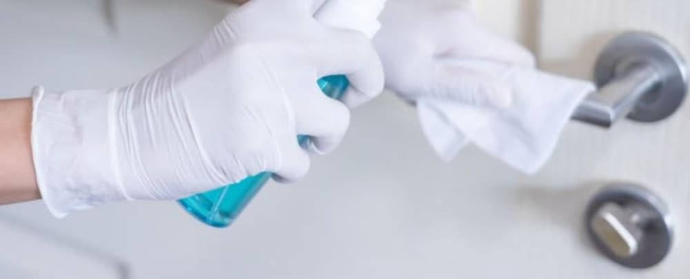 Comfortable and Charming Home Near Disney - Image 4