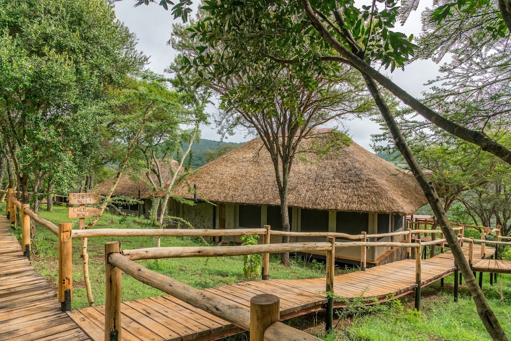 Ngorongoro Forest Tented Lodge