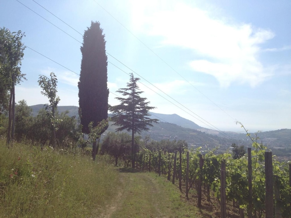 Villa Pandora view 2
