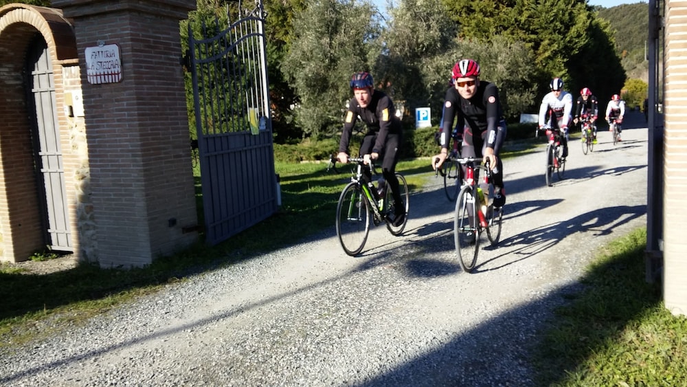 Fattoria La Steccaia