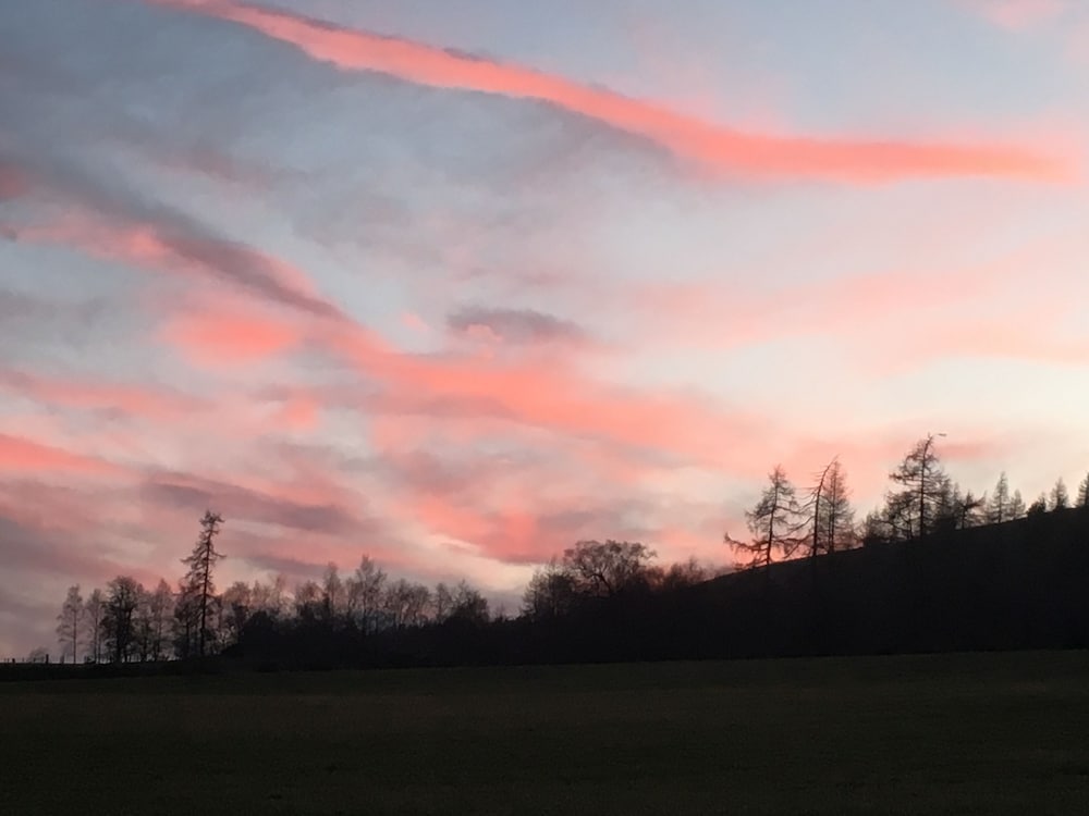 Hillside Havens