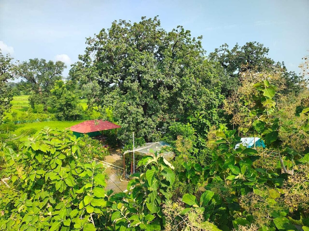 Shivansh Agro Tourism And Home stay